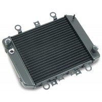 Chladič vody Kawasaki ER-5 1996-2006