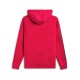 mikina UNBOUND HOODIE, ALPINESTARS (červená)