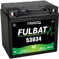 baterie 12V, 53034 GEL, 30Ah, 300A, bezúdržbová GEL technologie 178x123x166 FULBAT (aktivovaná ve výrobě)