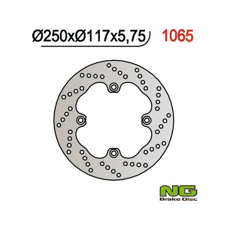 NG zadní brzdový kotouč SUZUKI AN 650 BURGMAN '02-'03 (250X117X5,7) (4X10,5MM)