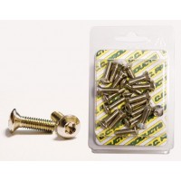 CC šrouby brzdového kotouče kužel M6/18MM (20ks) TORX T-30 10,9 HRC (1083-11) (CC PRODUCTS)