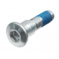 TRW šrouby předního / zadního brzdového kotouče SUZUKI GSX 600 / 650 / 750 / 1200 / 1400, GSX-R 600 / 750, SV 650 / 1000, TL 100